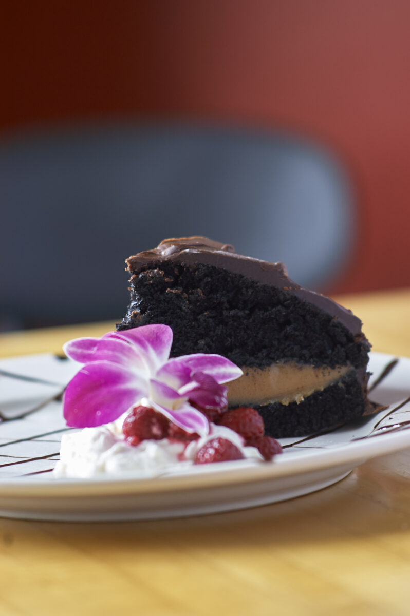 Chocolate Cake Slice Free Stock Photo