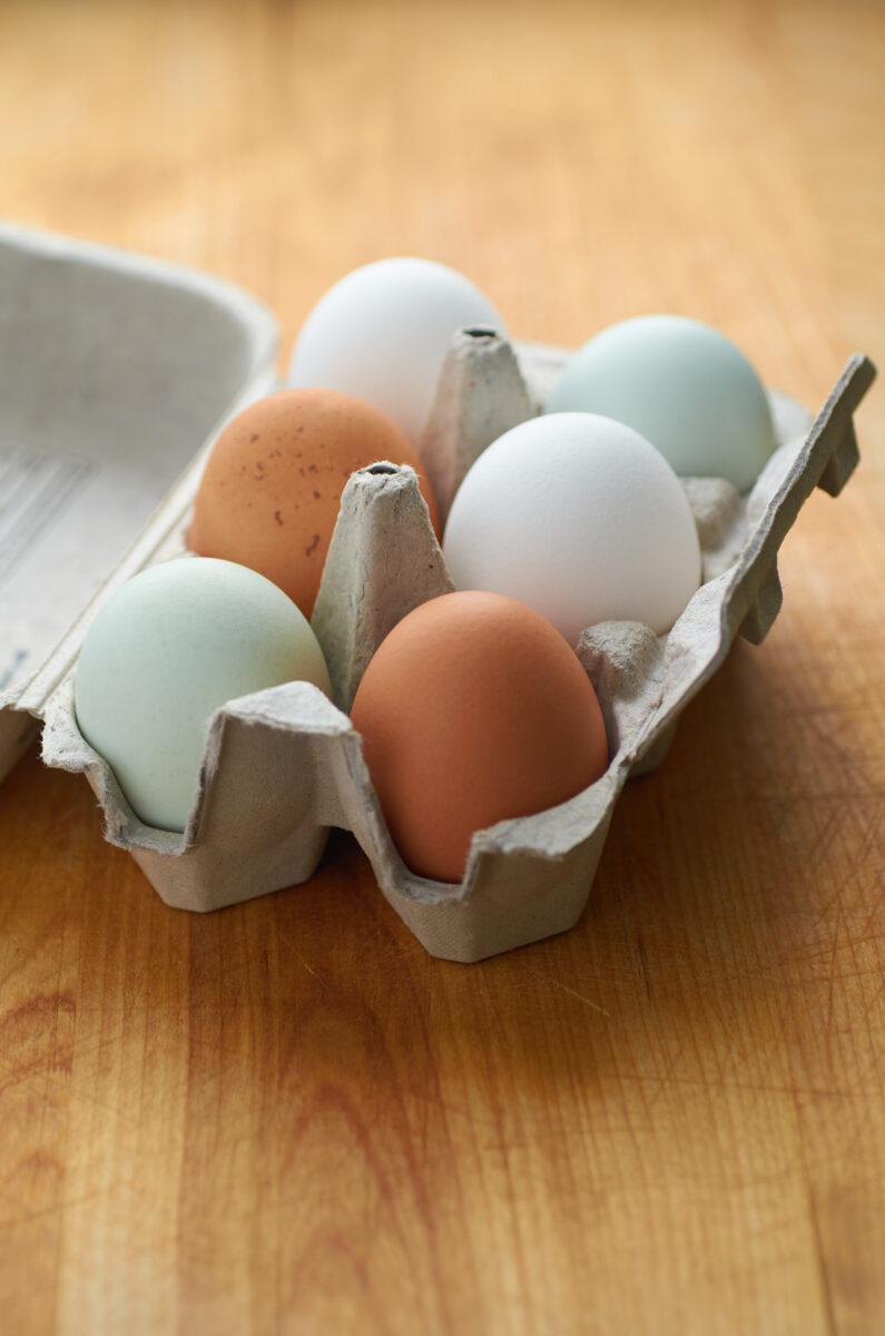 Fresh Eggs Free Stock Photo