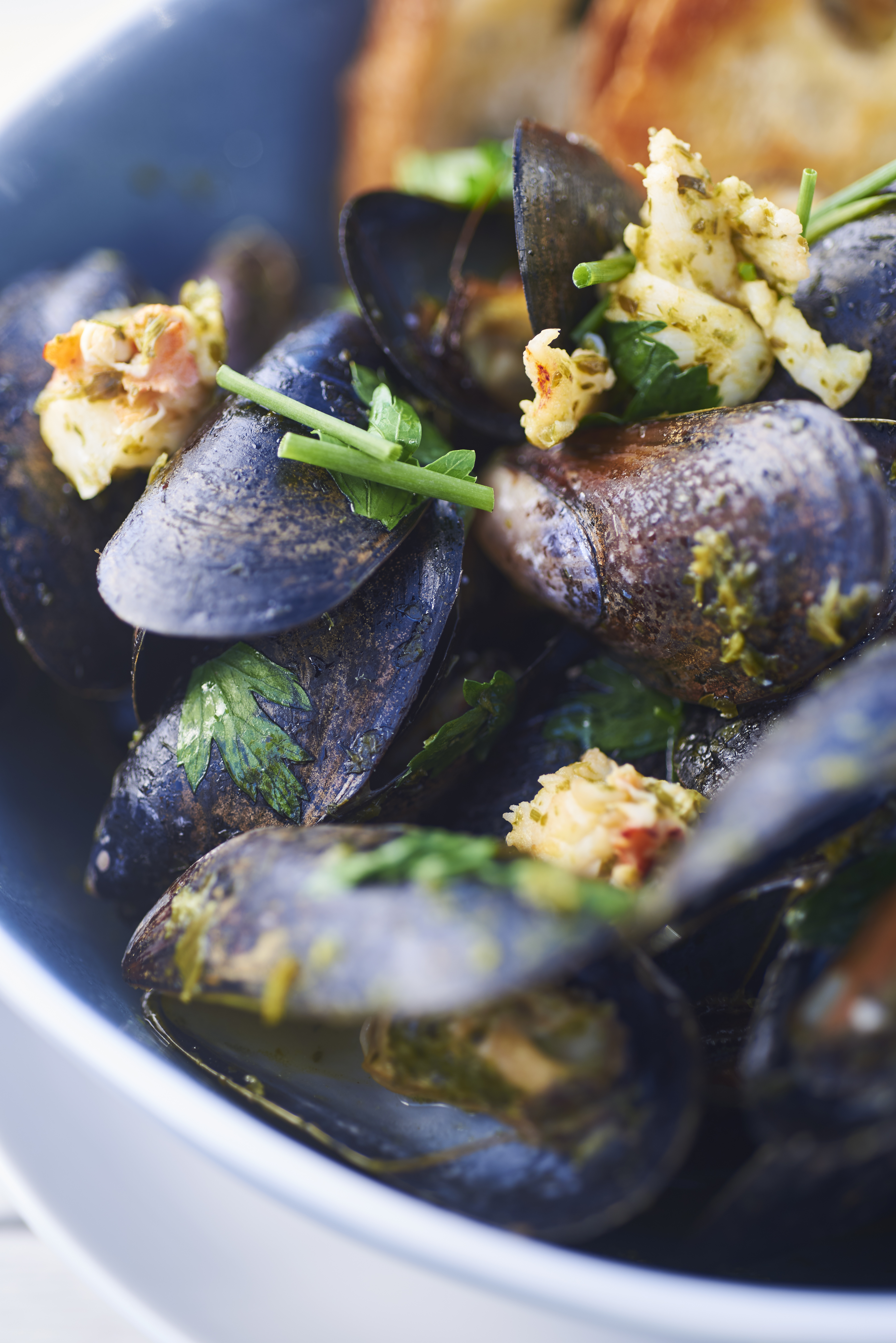 Freshly Cooked Mussels Free Stock Photo