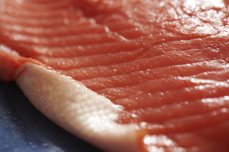 Raw Salmon Filet Free Stock Image